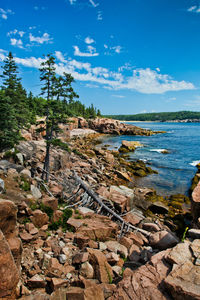Acadia np rocky coast in maine