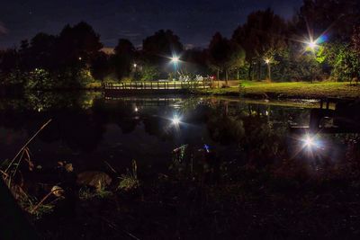 Reflection of illuminated trees in lake at night