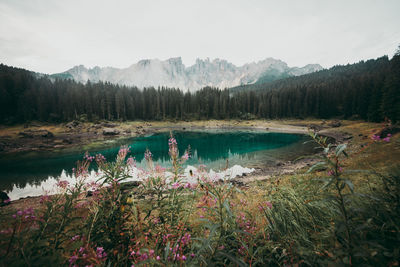 Scenic view of lake against sky