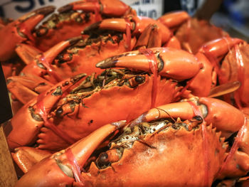 Close-up of red chili peppers for sale in market