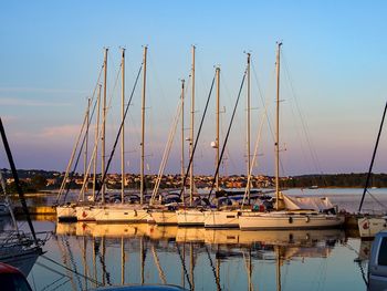 Sailboats moored in harbor