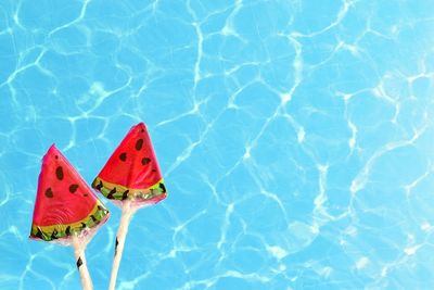 Directly above shot of watermelon lollipop over swimming pool