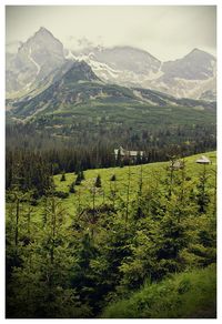 Scenic view of field and mountains against sky