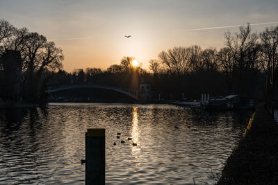 Silhouette birds flying over river against sky at sunset