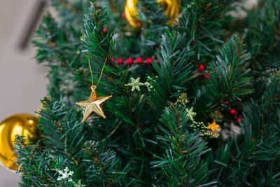 Close-up of christmas tree at home