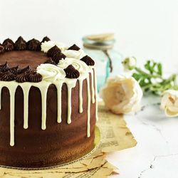 Close-up of chocolate cake in plate