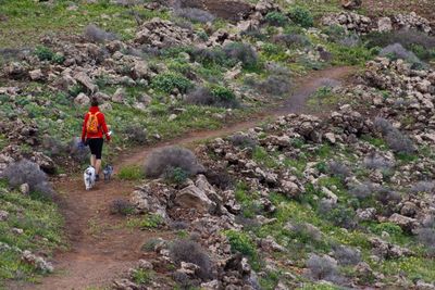 Rear view of man walking on rock