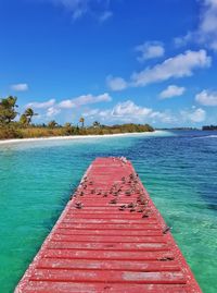 Scenic view of sea against blue sky