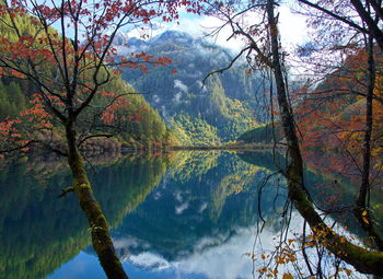 Scenic view of lake by trees during autumn