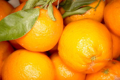 Full frame shot of oranges