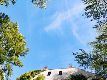 Low angle view of trees and building against sky