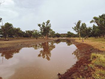 Reflection of trees in lake against sky