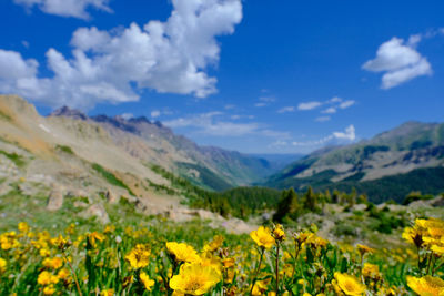 Scenic view of mountains against sky