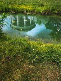 High angle view of plants in lake