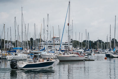 Sailboats in marina