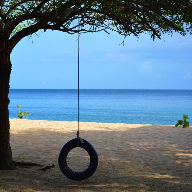 horizon over water, sea, beach, water, tranquility, tranquil scene, shore, scenics, sky, beauty in nature, tree, nature, clear sky, sand, idyllic, blue, day, calm, outdoors, copy space