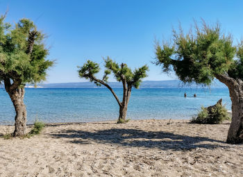 Almost empty sandy beach with silhouettes of two people going swimming.