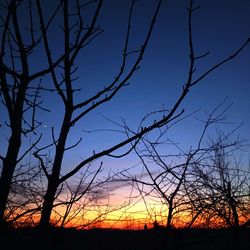 Silhouette bare trees against sky during sunset