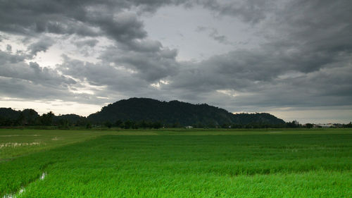 Scenic view of agricultural field against storm clouds