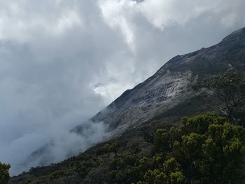 Kinabalu park
