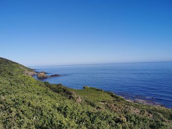 Scenic view of sea against clear blue sky