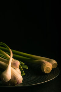 Close-up of white rose on table against black background