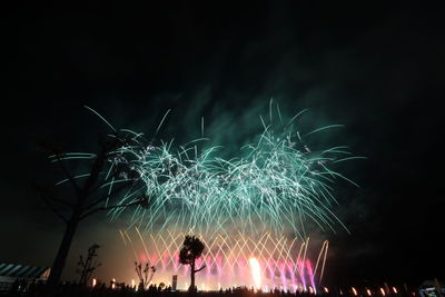 Firework display at night