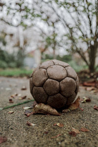 Close-up of ball on field