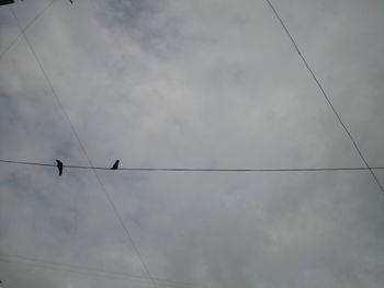 Low angle view of birds perching on power line against cloudy sky