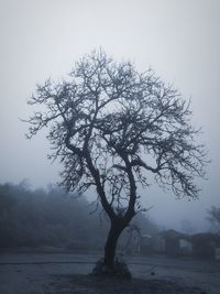 Silhouette bare tree against sky during winter