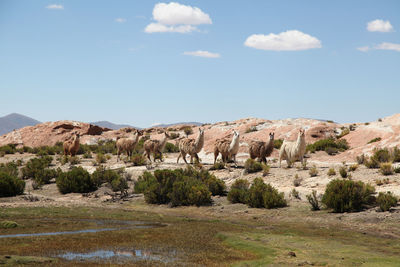 Scenic view of rocky mountains against sky