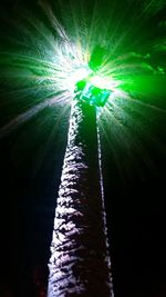 Low angle view of tree against sky