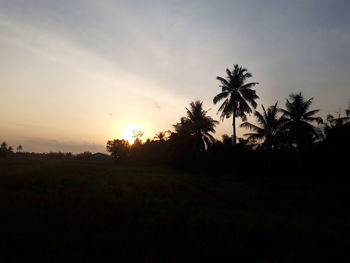 Silhouette palm trees on field against sky at sunset