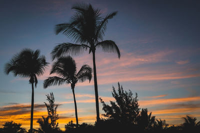 Low angle view of silhouette trees against sky at sunset