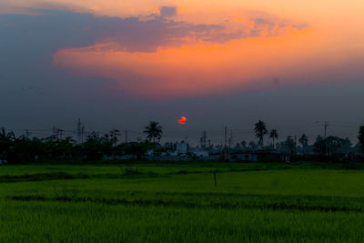 Scenic view of field against sky during sunset