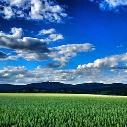 Scenic view of field against cloudy sky