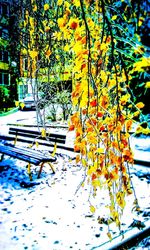 Autumn leaves on tree trunk