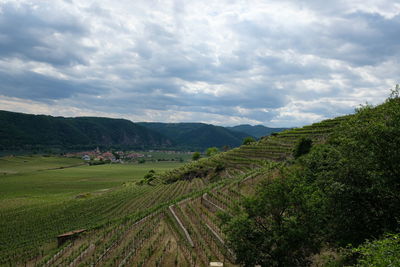 Scenic view of agricultural field against sky