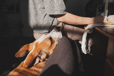 Dog sits next to a woman practising handicraft hobby at home. 