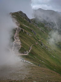 Scenic view of waterfall