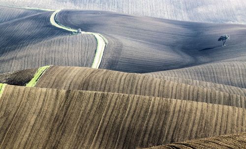 High angle view of rolling landscape