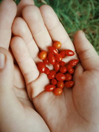 Cropped image of hand holding red fruits
