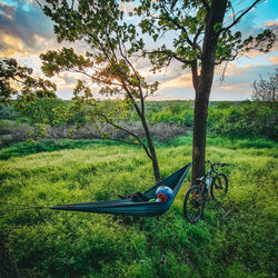 Scenic view of land against trees on field