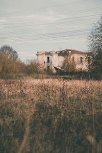 Plants growing on field by buildings against sky