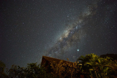 Low angle view of trees against sky at night