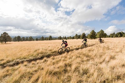 Friends riding mountain bikes on meadow trail