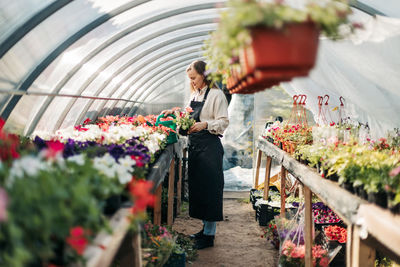 Professional girl gardener grows flowers in a greenhouse. daily care of plants