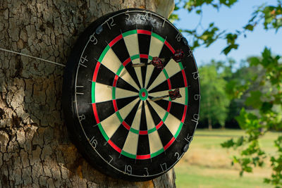 Close-up of umbrella on field against wall