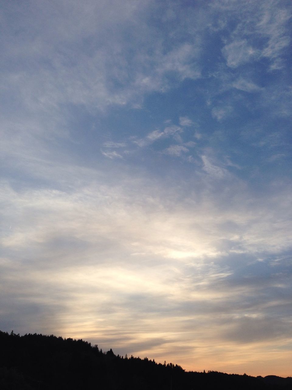 silhouette, sky, tranquil scene, tranquility, scenics, beauty in nature, sunset, landscape, cloud - sky, nature, tree, cloud, idyllic, cloudy, field, dusk, non-urban scene, outdoors, no people, low angle view