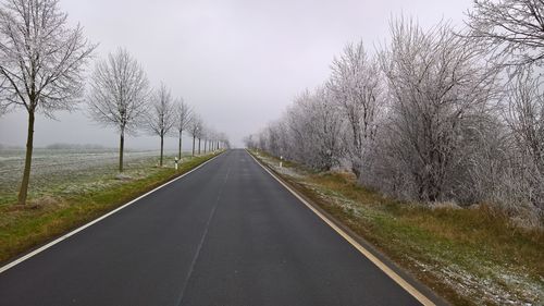 Empty road along bare trees against sky